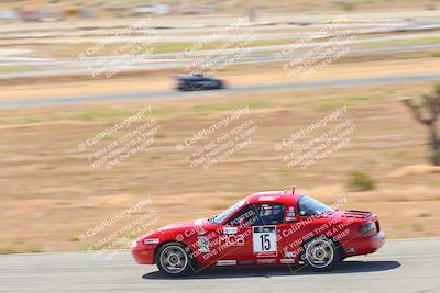 media/May-06-2023-Lucky Dog Racing (Sat) [[8f2256f436]]/Turn 2 10a/